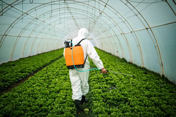 Best Pest Removal Services  in Berwyn Heights, MD
