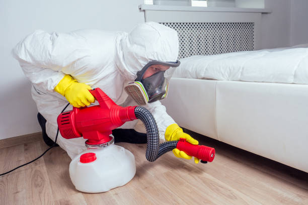 Best Bed Bug Extermination  in Berwyn Heights, MD