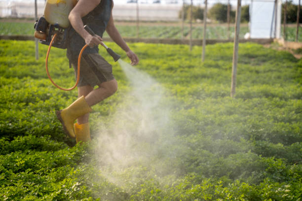 Best Mosquito Control Services  in Berwyn Heights, MD