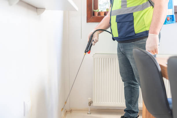 Best Local Pest Control Services  in Berwyn Heights, MD