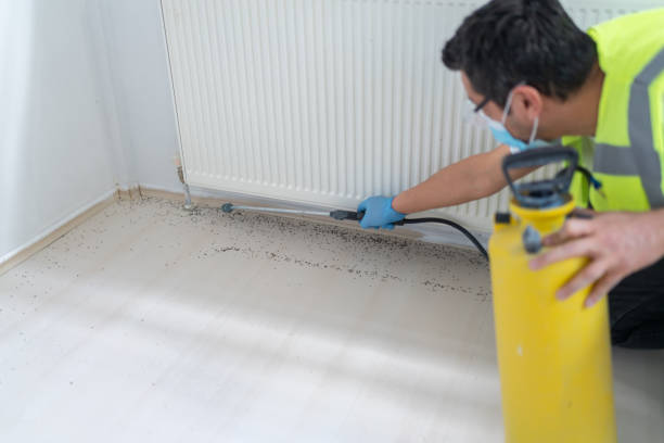 Best Pest Control Near Me  in Berwyn Heights, MD