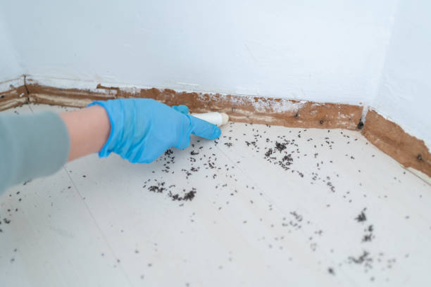  Berwyn Heights, MD Pest Control Pros
